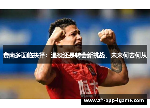 费南多面临抉择：退役还是转会新挑战，未来何去何从