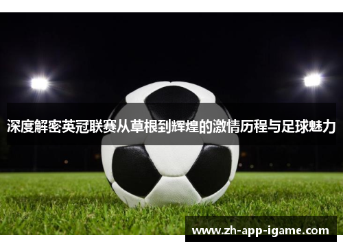 深度解密英冠联赛从草根到辉煌的激情历程与足球魅力 深度解密英冠联赛从草根到辉煌的激情历程与足球魅力